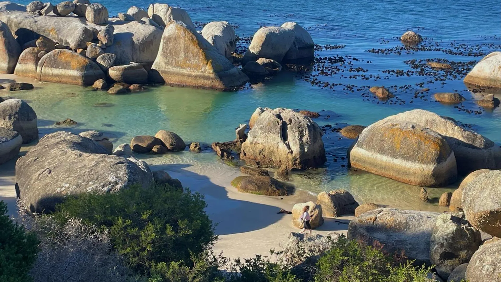 Bed and Breakfast Luxury Surfer'S Corner Suite With Ocean Views Simonʼs Town Νότια Αφρική